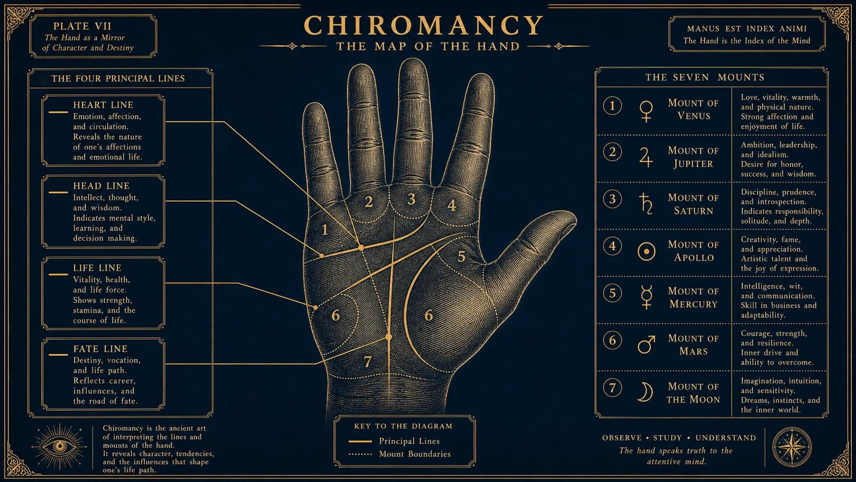 Palmistry Guide: Reading the Lines of the Hand